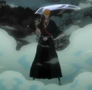 Nouveau Shikai