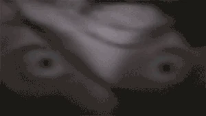 3654