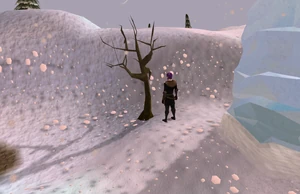 Olaf's Quest