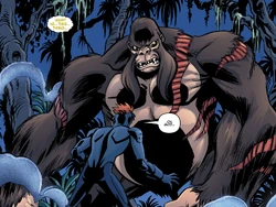Grodd