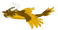 SandstormDragonAdult