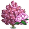 Saucer Magnolia Tree-icon