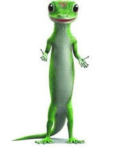 Geicogecko