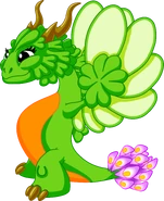 CloverDragonAdult