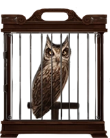 PM Estrígido