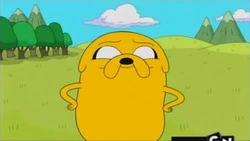 Jakeeee