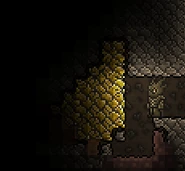 Gold ore