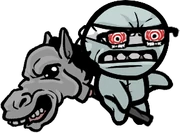 Conquest blind