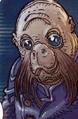 Mingoheadshot.jpg