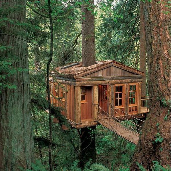 Tree House Photos