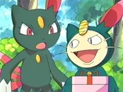 EP267 Sneasel y Meowth disfrazado de Sneasel