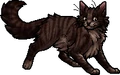 Voletooth.apprentice