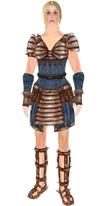 ArenaHeavyArmorBlue