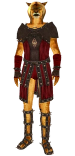 ArenaValorLightArmor
