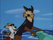 Thunderbolt gets the bone