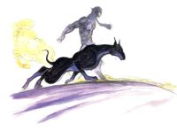Shadow and Interceptor