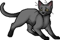 Shrewfoot.apprentice