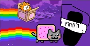Nyanrace