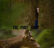 Hunt