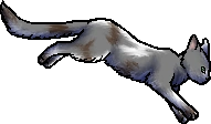 Wing.ph