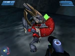 Halo1pcmajorFRG