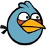 Angry birds blue bird angry