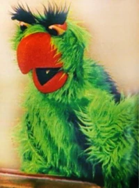 Paco70s