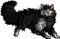 Thistleclaw.apprentice