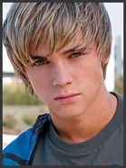 Austin Mellark