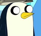 Gunter rosto