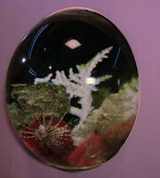 Ready room aquarium
