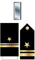 Slt Insignia (STN).png
