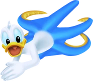 Donald (Pieuvre)