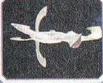 Furia Carrier Type H