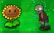 GiantSunflower