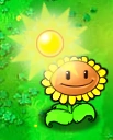 Sunlight