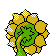 Sunflora espalda G2