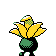 Oddish espalda G2 variocolor