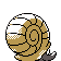 Omanyte espalda G2 variocolor