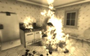 Henderson death