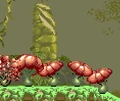 Poison mushroom