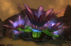 FellfireBloom