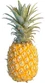 GoldenPineapple