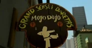 Mojo Dojo