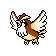 Pidgey cristal