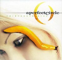 Thirteenth Step cover