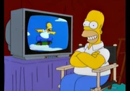 Btl homer