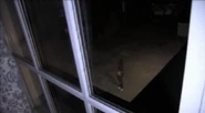 Pahunter