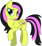 STF'sOC