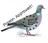 Pigeon approved!